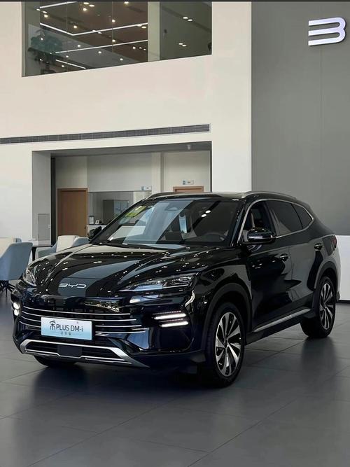 比亚迪宋2024(比亚迪宋2024款油电混合)